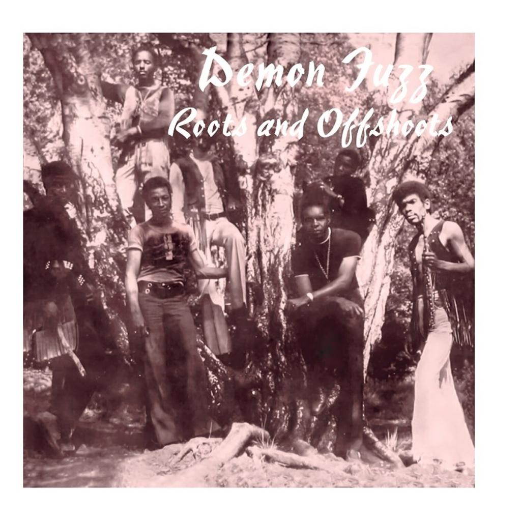 Roots And Offshoots - Demon Fuzz (LP) | Køb vinyl/LP, Vinylpladen.dk
