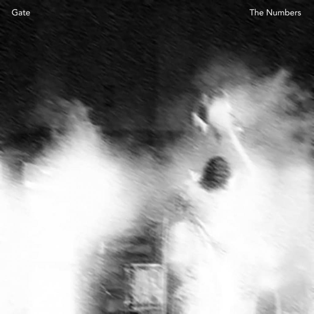 Numbers For Gate Post The Numbers - Gate (LP) | Kjøp vinyl/LP, Vinylpladen.no
