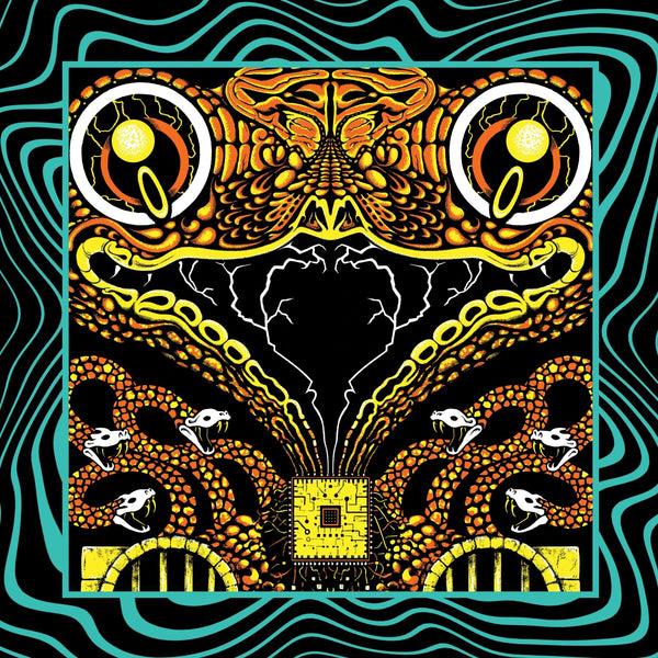 Acoustic Gizzard Vol. II - Live In San Diego 24 - King Gizzard & The ...