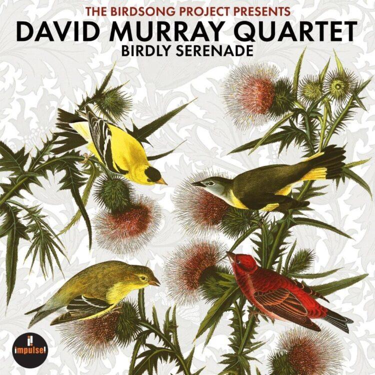 Birdly Serenade - David Murray Quartet (2LP) | Køb vinyl/LP, Vinylpladen.dk