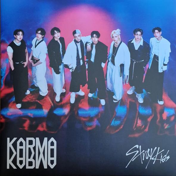 Karma - Stray Kids (LP) | Køb vinyl/LP, Vinylpladen.dk