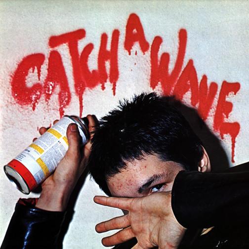 Catch A Wave Various (vinyl) Køb vinyl/LP, Vinylpladen.dk