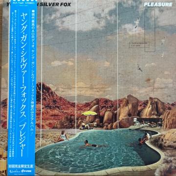 AM Waves - Young Gun Silver Fox (LP) | Køb vinyl/LP, Vinylpladen.dk