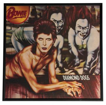 Billedramme til 12" LP-covers