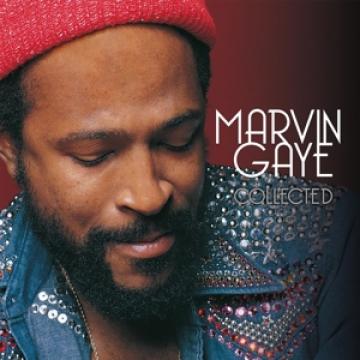 Marvin Gaye - Vinyl Every Great Motown Hit Of Marvin Gaye
